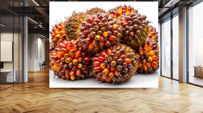 Large fresh palm oil bunches, isolated on white background, Clipping path Wall mural