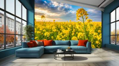 Mustard flower fields background Wall mural