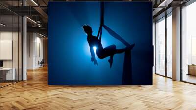 A young woman performing in a circus on aerial silk in the dark with blue light. Silhouette of female equilibrist balancing on a height. Performance of aerial gymnast. Wall mural