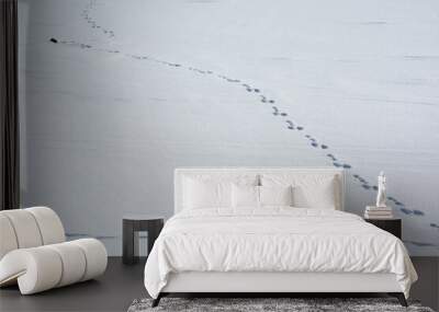 雪上の野生動物の足跡
 Wall mural