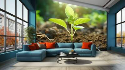 Sustainable living earth nature plant Wall mural