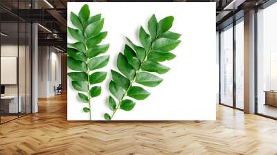 Fresh organic curry leaves ( Murraya koenigii ) isolated on white background, Fresh green curry leaves Wall mural