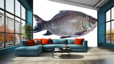 fresh water Catla ( katla ) fish. Catla fish isolated on white background Wall mural