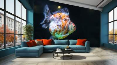 goldfish in aquarium Wall mural