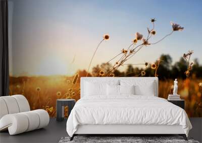 Abstract warm landscape of dry wildflower and grass meadow on warm golden hour sunset or sunrise time. Tranquil autumn fall nature field background. Scenic dusk sundown or dawn pastel sun light Wall mural