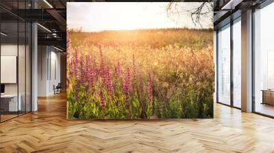 Beautiful scenic colorful wild flower field meadow sunset evening sunrise morning summertime nature landscape panorama. Vibrant multicolored countryside rural steppe dawn wide panoramic banner view Wall mural