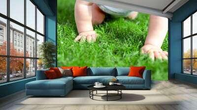 Close-up baby crowling through green grass lawn. Details infant hand walking in park . Child discovering and exploring nature and earth concept. Making first steps Wall mural