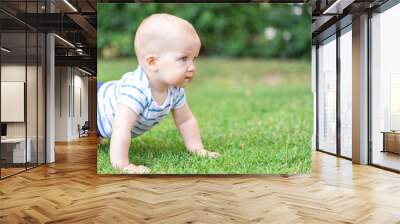 Cute little blond baby boy crawling on fresh green grass. Kid having fun making first steps on mowed natural lawn. Happy and healthy childhood concept Wall mural