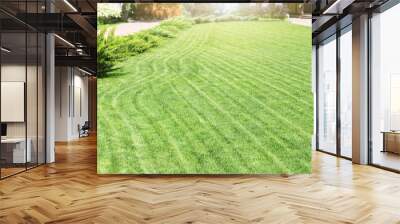 Freshly mowed rows of green lawn at country residence with summerhouse. Hedge of fresh cedars. Landscape design and gardening concept Wall mural