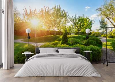 Generic green fresh round spheric boxwood bushes wall with warm summer sunset light on background at ornamental english garden at yard. Early autumn green natural landscape park background Wall mural