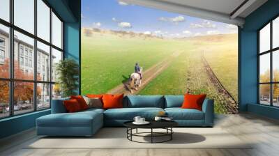 Young female equestrian riding horse along rural countryside. Rider on horseback going through green hillside.Travelling along. Aerial back view Wall mural