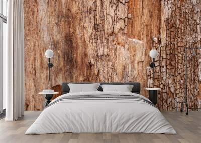 old rough cracked wood texture background Wall mural