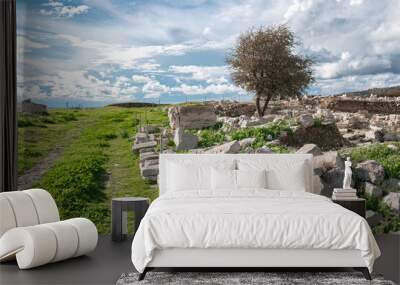 Ancient Amathus ruins standing under cloudy sky. Limassol, Cyprus Wall mural