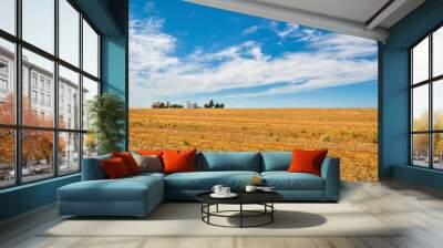 A small farm or ranch surrounded by trees seen in the distance from a highway beyond fields of hay and grain in the Palouse area of Washington State, USA Wall mural