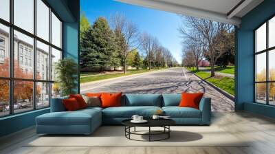 A wide tree lined street alongside a park in a suburban neighborhood in Coeur d'Alene, Idaho, at early spring. Wall mural