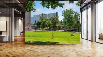 A woman sits on the lawn near the clock tower at Riverfront Park in downtown Spokane Washington on a summer day. Wall mural