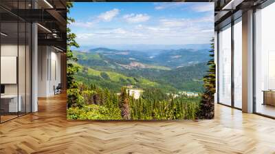 View of the Spokane Valley and Newman Lake area from the summit of Mount Spokane state park at summer in Spokane, Washington, USA. Wall mural