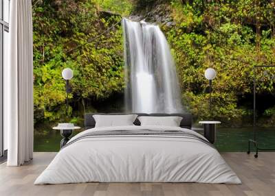 Tropical Waterfall on the Island of Maui, Hawaii Wall mural