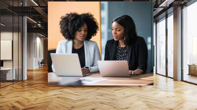 Two women focused on laptops in office setting, collaborating on a project. Wall mural