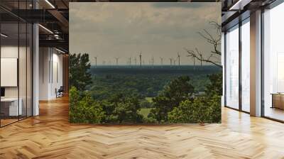 wind power garden Wall mural