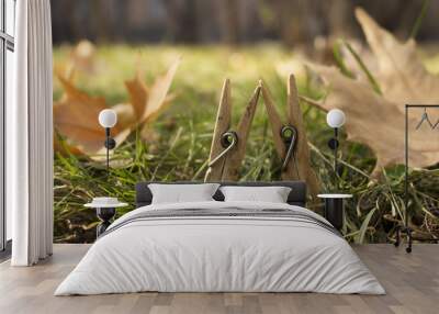 Two wooden clothespins on green grass with orange leaves Wall mural