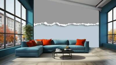 Abstract banner with a torn paper design  Wall mural