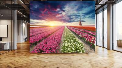 The road leading to the Dutch windmills from the canal in Rotterdam. Holland. Netherlands Wall mural