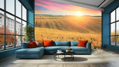 Wood floor over yellow wheat field under nice sunset cloud sky background Wall mural