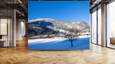 Swiss Winter cold Winter blue mountain Wall mural