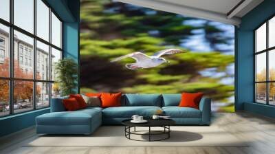 Close up shot of a Seagull flying Wall mural