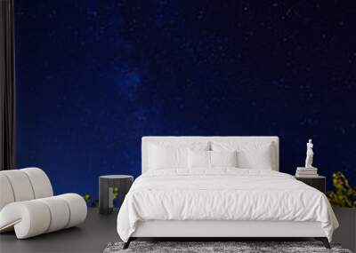 Milky way over vineyards in California's wine country Wall mural