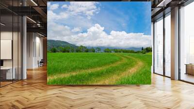 Sunny view of the beautiful grass and clouds landscape Wall mural