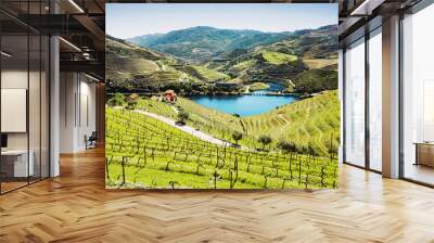 Vineyards in the Valley of the River Douro, Portugal Wall mural