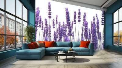 A hyperrealistic 3D render of a field of lavender, peaceful and calming, isolated on white background Wall mural