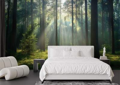 A serene forest clearing bathed in dappled sunlight with towering pine trees Wall mural