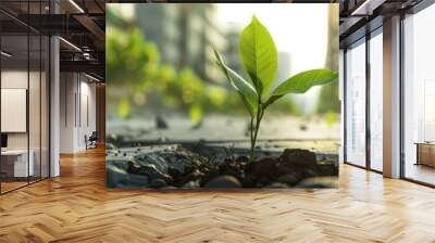 Hyperrealistic image of a seedling emerging from concrete, urban resilience, green growth, nature and city contrast Wall mural