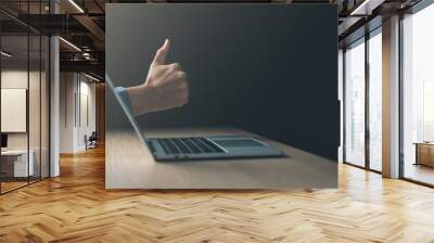 business goal achievement and good job concept.laptop with businessman hand thumbs up. Wall mural