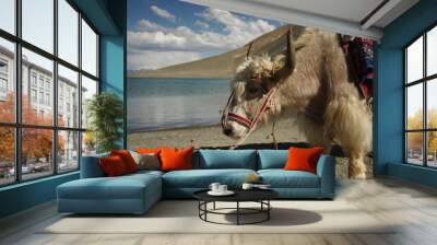 Yak Wall mural