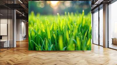 grass, field, nature, texture, plant, green, garden, background, summer, natural, ground, spring Wall mural