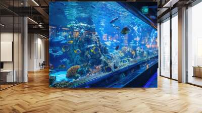 Experience vibrant marine life at Sharjah Aquarium, showcasing stunning array of colorful fish and coral reefs in beautifully illuminated setting Wall mural