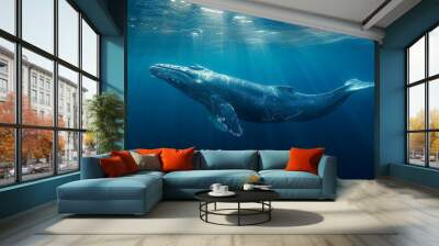 A blue whale swims alone in the deep ocean Wall mural