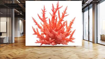 red coral isolated on transparent background Wall mural