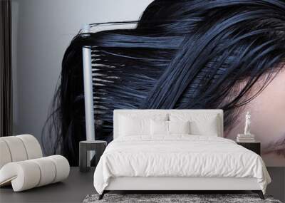 Close-up on head of Asian people have long black hair, combing hair with hairbrush.  Wall mural