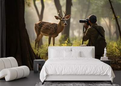 Photographer takes pictures of deer in forest or safari. Wall mural