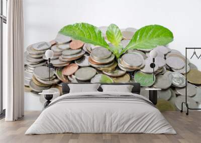 Green tree on the pile of silver coins Isolated on white background Concept of saving, economic growth Close-up view Wall mural