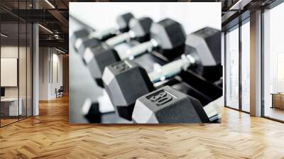 rows of dumbbells on a rack in a gym Wall mural