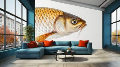 Close-Up of a Single Carp Fish on White Background Wall mural