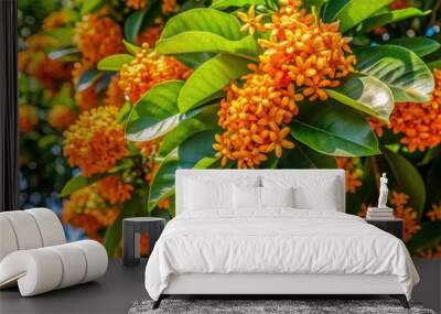 Vibrant orange blooms adorn the branches of a majestic pirul tree, its delicate white flowers and lush green leaves creating a stunning natural display. Wall mural