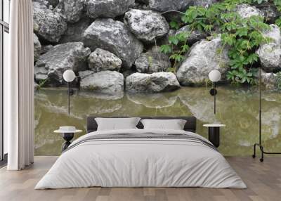 stone reflection in water landscape background Wall mural