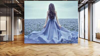 Back view of standing young woman in blue dress Wall mural